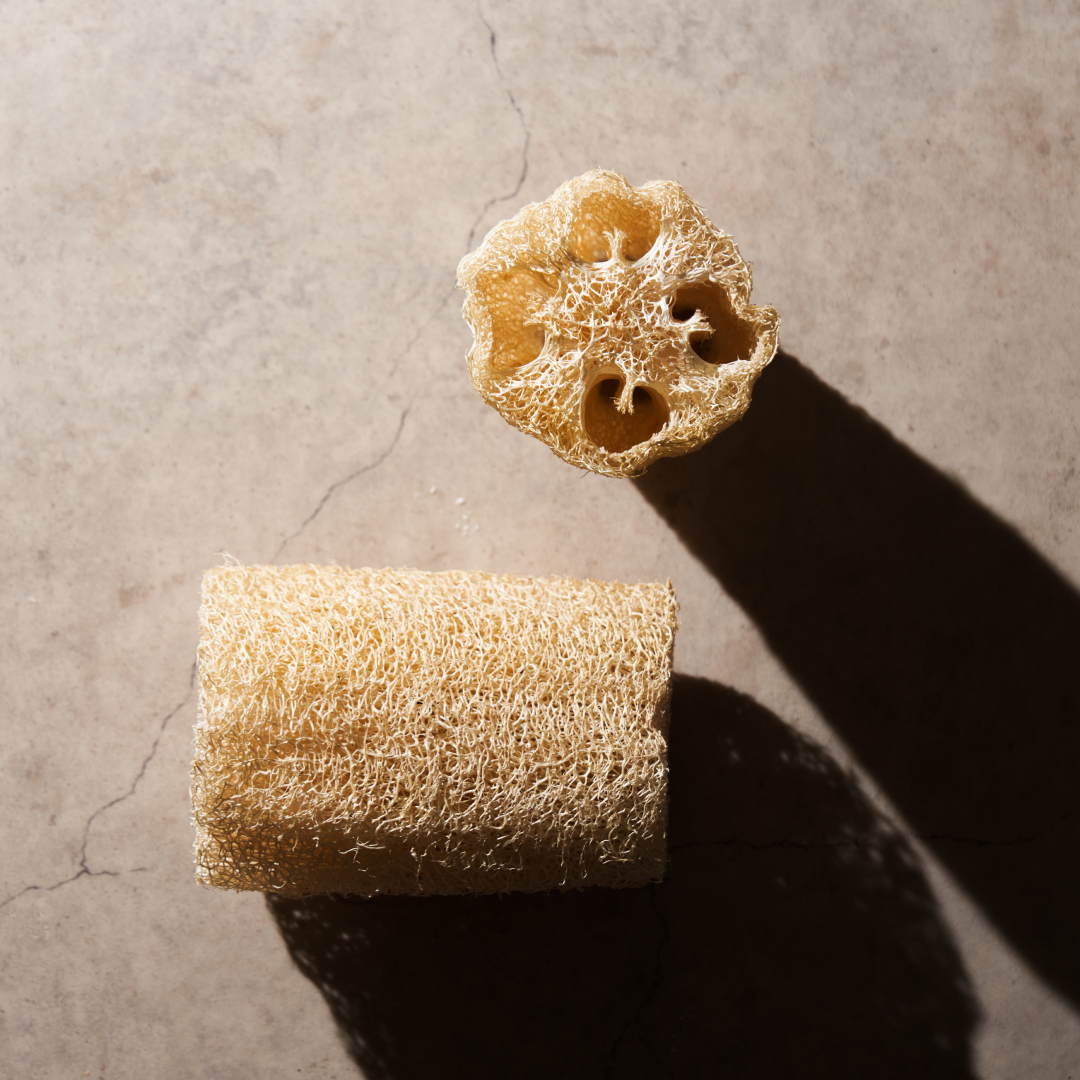 LOOFAH SPONGE - ヘチマスポンジ