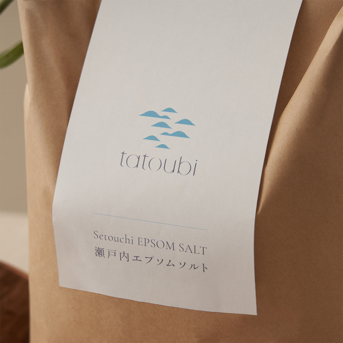 Setouchi EPSOM SALT - 瀬戸内エプソムソルト 2.5kg（12回分）